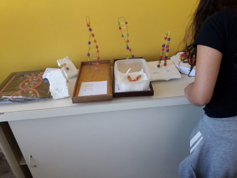 DNA e RNA 2