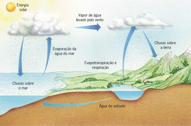 Ciclos Biogeoquimicos