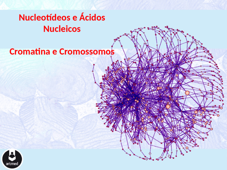 Cromatina