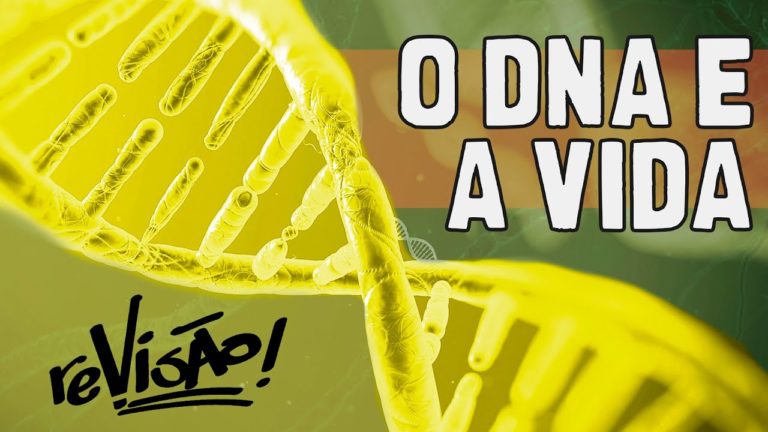 COMO SURGIU O PRIMEIRO SER VIVO?