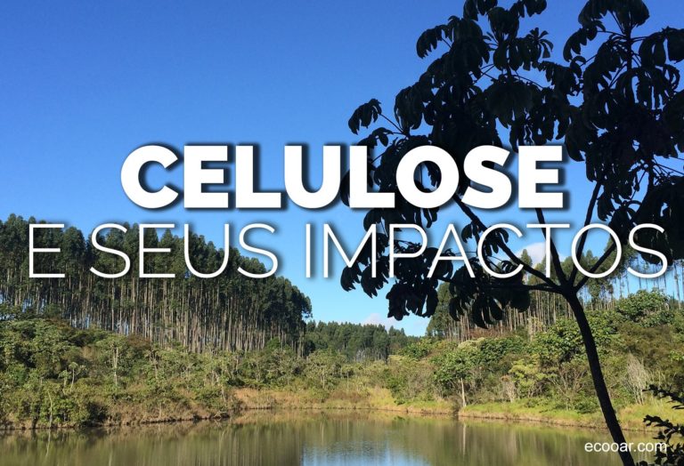 Biomas e Impactos Ambientais no Hotel