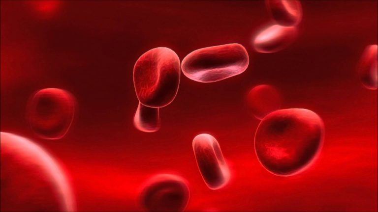 TRANSFUSÃO DE SANGUE