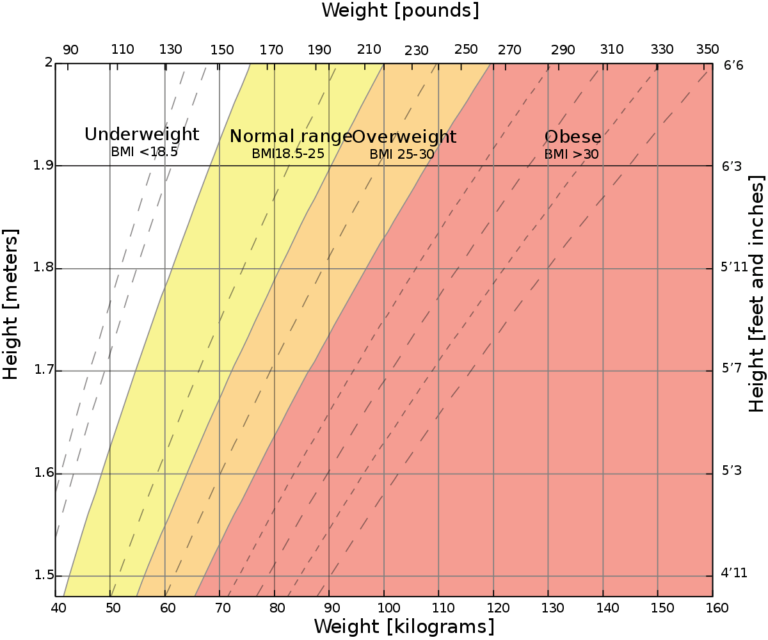 IMC – Índice de Massa Corporal