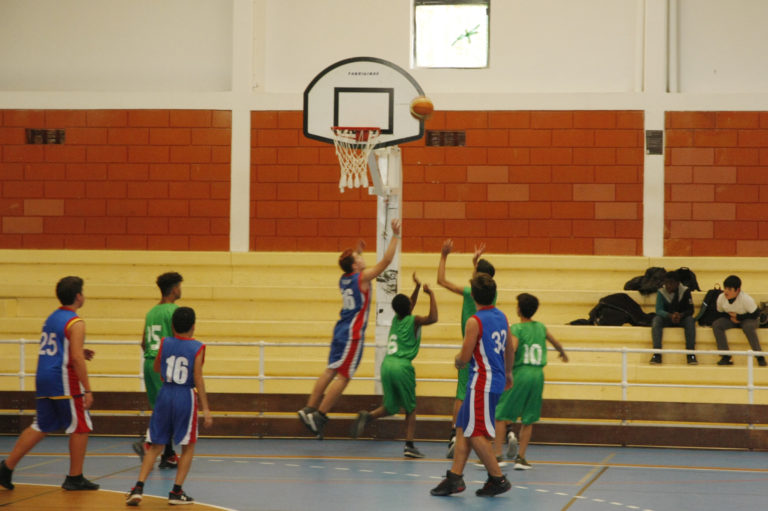 BASQUETEBOL ESCOLAR