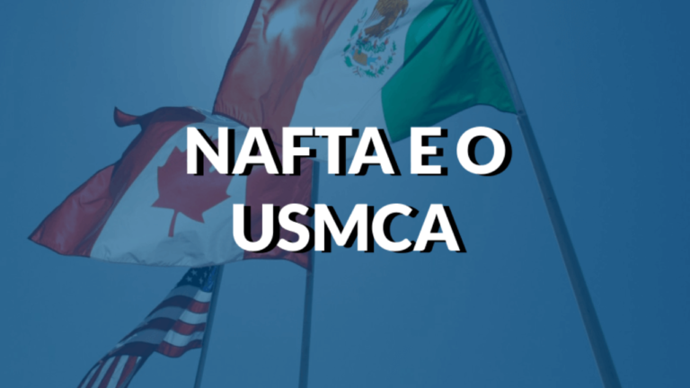 ECONOMIA INTERNACIONAL E RELAÇÕES BRASILEIRAS COMO NAFTA