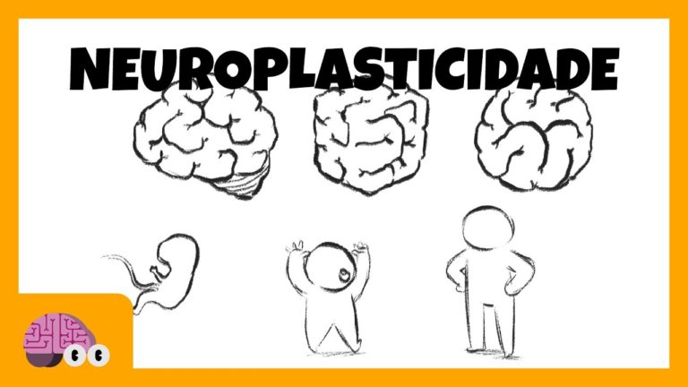 NEUROPLASTICIDADE