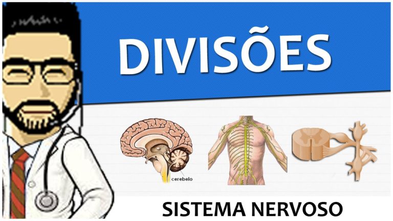 SISTEMA NERVOSO CENTRAL