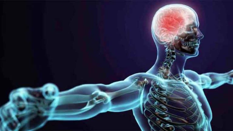 DROGAS QUE ATUAM NO SISTEMA NERVOSO AUTÔNOMO