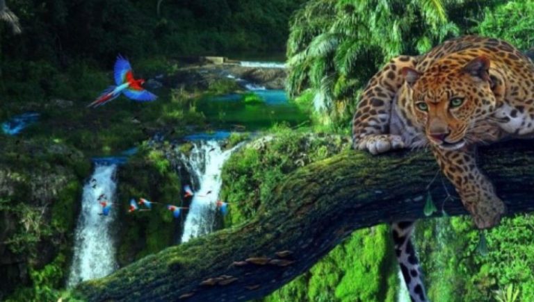 BIODIVERSIDADE – AMAZONIA BRASILEIRA