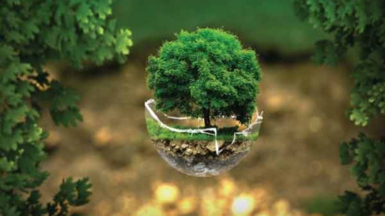 PERGUNTAS E RESPOSTAS CURIOSAS SOBRE ECOLOGIA