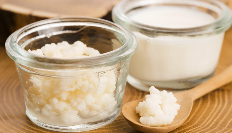 BACILO DE KEFIR
