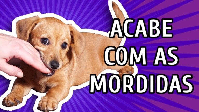 COMO PARAR COM AS MORDIDAS NAS MÃOS