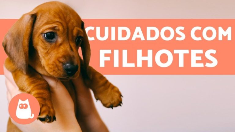 DO CIO AO PARTO