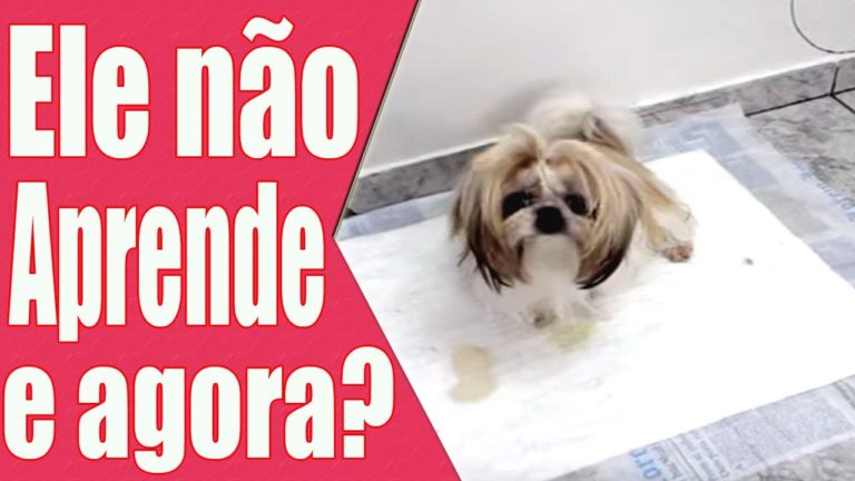 XIXI E COCÔ NO LUGAR CERTO