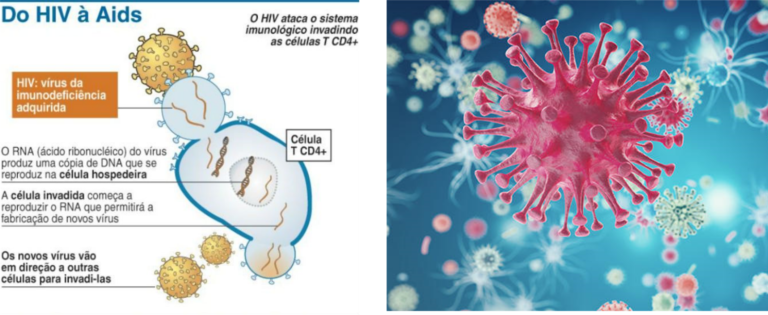AIDS – HIV VIRUS DA IMUNODEFICIÊNCIA HUMANA