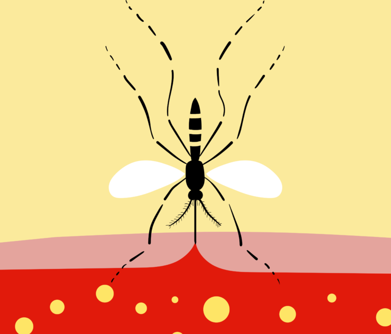 FEBRE AMARELA