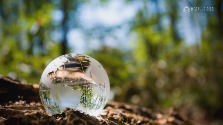 PRINCIPIOLOGIA AMBIENTAL