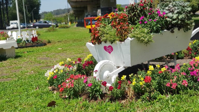 SUSTENTABILIDADE E CIDADANIA