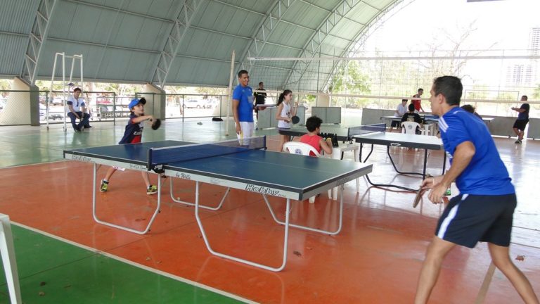 VITALIZADOR – PING PONG DE PALMAS