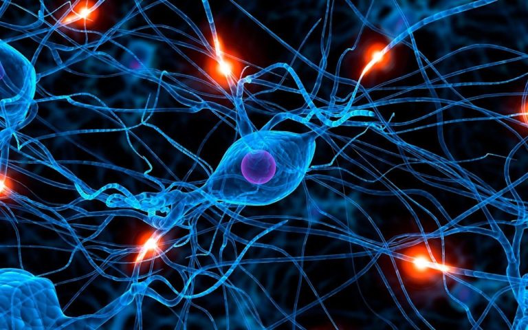 BIOLOGIA CELULAR – CITOLOGIA