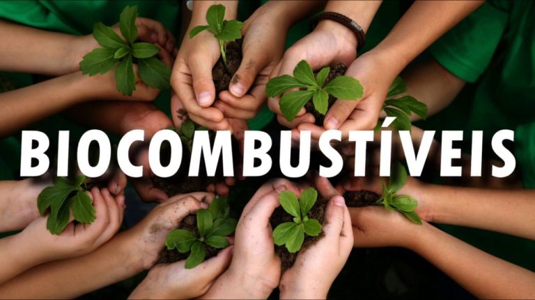 BIOCOMBUSTÍVEIS