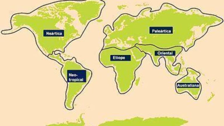 A BIOGEOGRAFIA