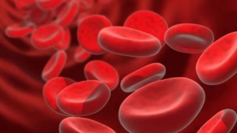 A COMPOSIÇÃO DO SANGUE