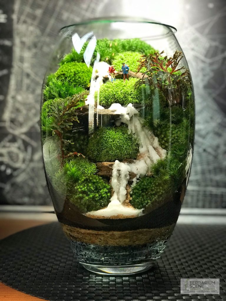 PROJETOS PARA FEIRA DE CIÊNCIAS – TERRÁRIO DE MOFO