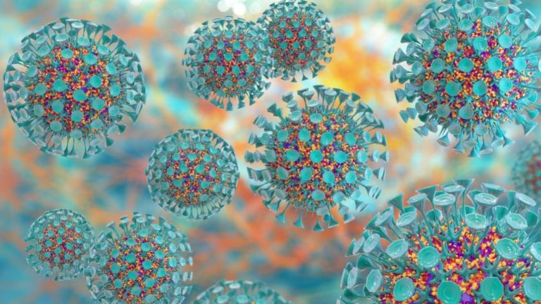 VIRUS E BACTÉRIAS