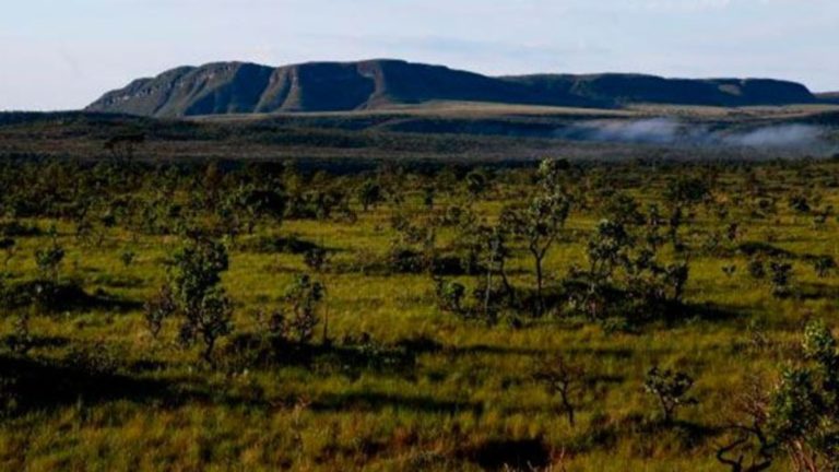 CERRADO BRASILEIRO