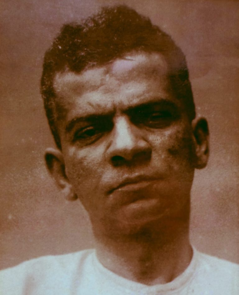 O Caçador Doméstico – Lima Barreto