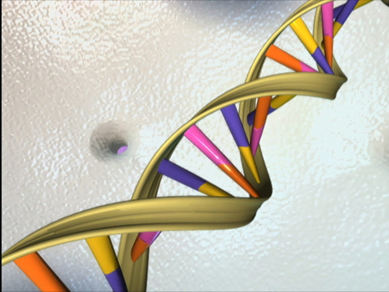 DISLEXIA E O PROJETO GENOMA HUMANO