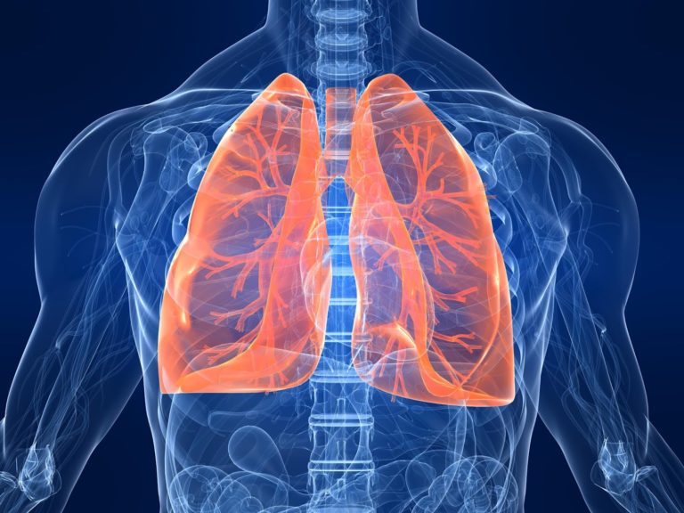 DIFERENÇAS ANATÔMICAS ENTRE O SISTEMA RESPIRATÓRIO