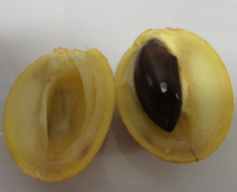 FRUTA CARAMURI