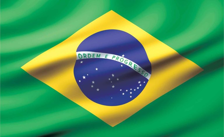 RESENHA CRITICA – O ARTIGO EM QUESTÃO É O BRASIL
