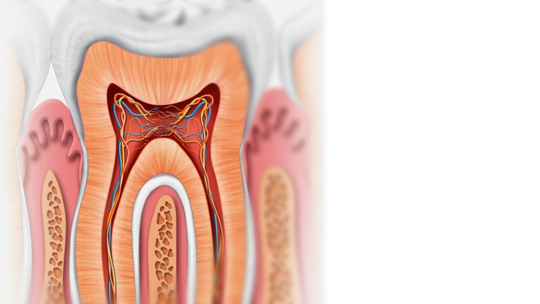 PERIODONTO