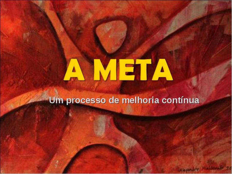 RESUMO DO LIVRO A META