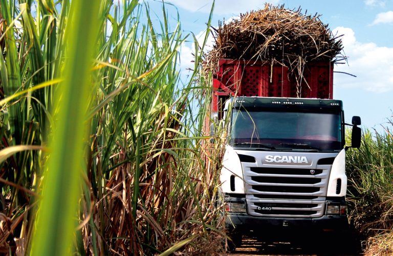 Transporte da Cana de Açucar