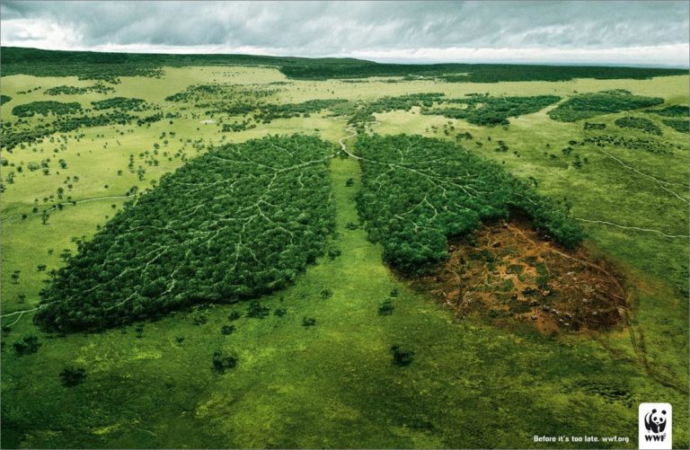 Degradação Ambiental