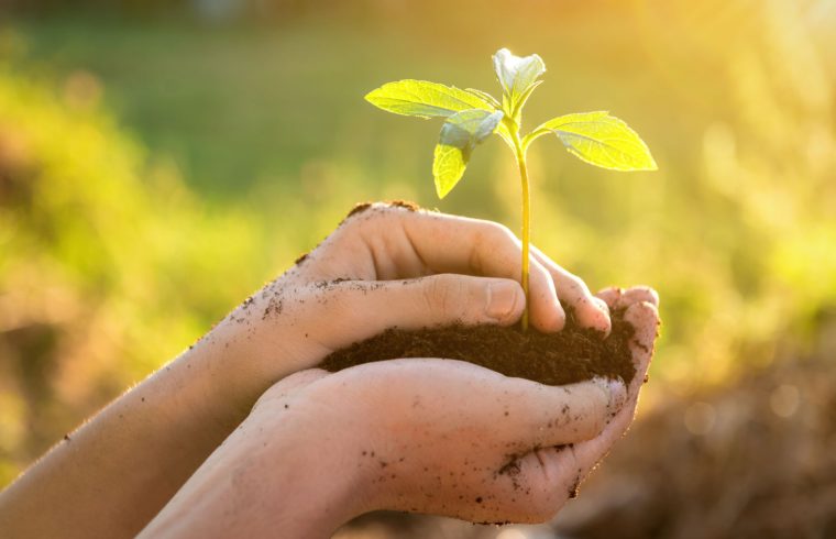 A Educação Ambiental e a Inclusão Local