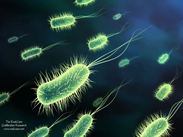 Parasitologia