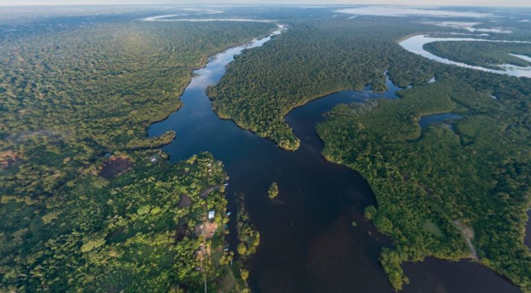 Direito Ambiental