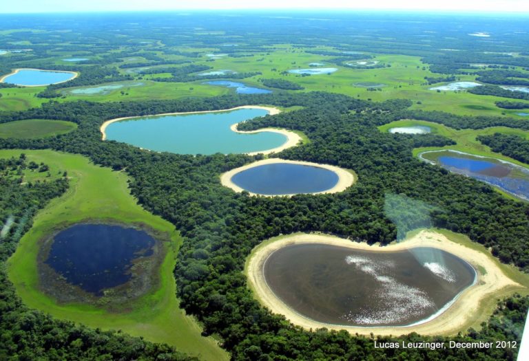Biogeografia do Pantanal