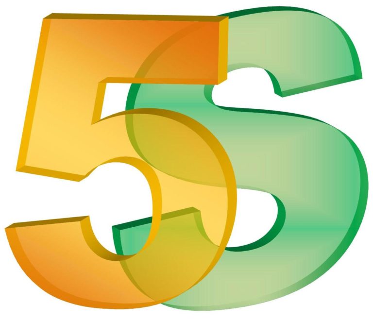 Os 5S